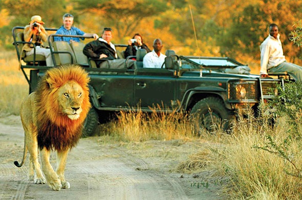 durban safari tour durban safari tour